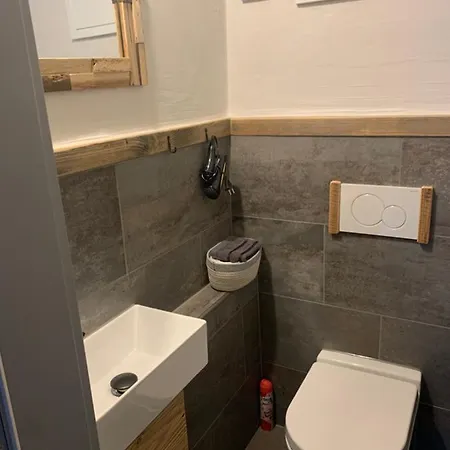 Hisa Pod Gorami Ii****-house With Wellness Kranjska Gora